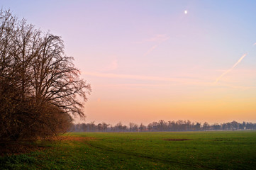Fototapeta na wymiar Paesaggio di campagna al tramonto