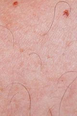 Fototapeta premium Closeup of caucasian skin with hair