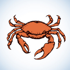 Crab. Vector drawing