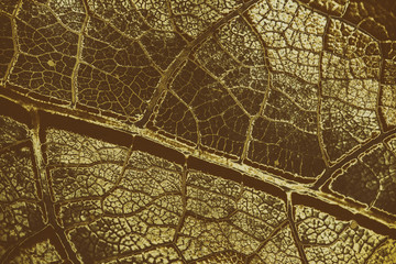 Leafy grunge background. Leaf texture in vintage color tone for background