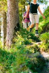 Naklejka na ściany i meble Hiking Seniors in Forest