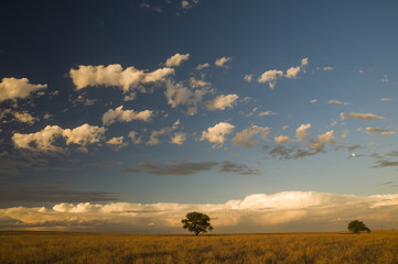 Pampas Landscape, La Pampa, Argentina