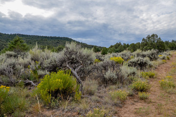 Fototapeta na wymiar farmlands on the hillsides near Trough Road Bond, Grand County, Colorado, USA