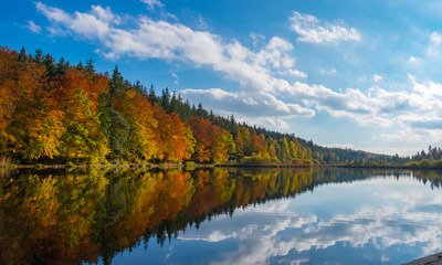 Herbstlicher Wald mit Spiegelung im See bei strahlendem Sonnenschein und blauem Himmel