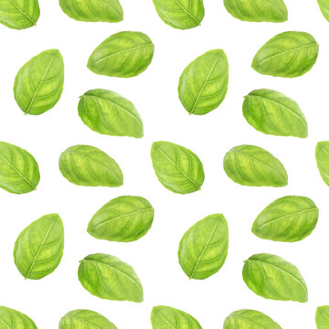 Basil leaf herb seamless pattern