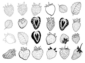 Set of Handcrafted Strawberry Icons, Vector Illustration