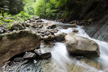 Cascade falls over old plum river with rocks in the forest © Andrii Zastrozhnov
