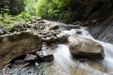 Fototapeten Wald Fluss Cascade falls over old plum river with rocks in the forest  © Andrii Zastrozhnov