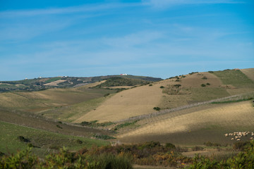 landscape on the hills.
