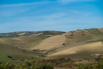 landscape on the hills.
