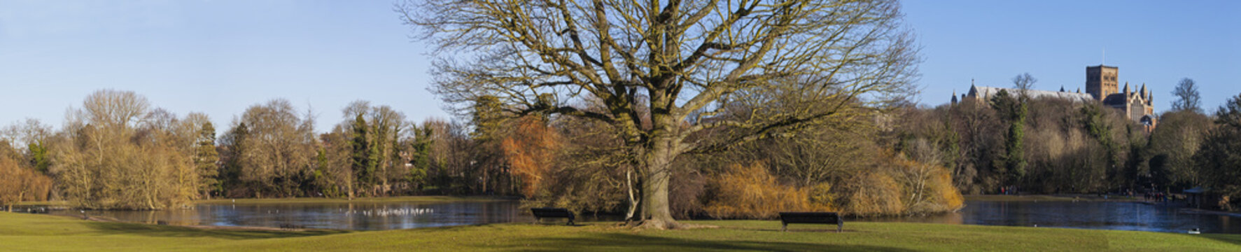 St. Albans Panorama