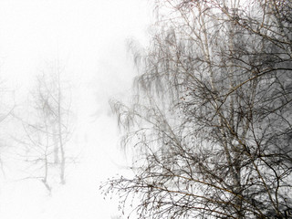 Fototapeta na wymiar Winter landscape in gloomy snowfall day. Photo manipulation