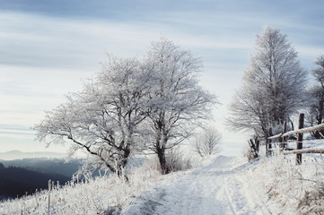 rural road covered with snow and frosted trees. beautiful winter landscape