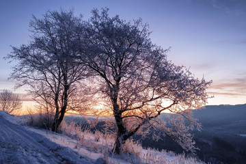 rural road covered with snow and frosted trees. beautiful winter landscape