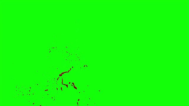 Hd Blood Burst Slow Motion (Green Screen) 154