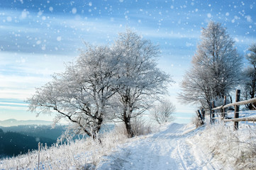 rural road covered with snow and frosted trees. beautiful winter landscape