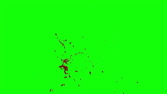 Hd Blood Burst Slow Motion (Green Screen) 168