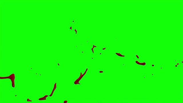 Hd Blood Burst Slow Motion (Green Screen) 171