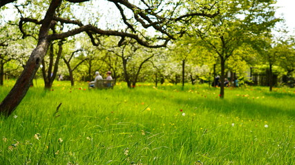 Sommertag im Britzer Garten zu Berlin