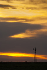 Pampas Landscape, La Pampa, Argentina