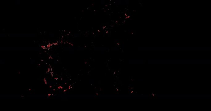 4k Blood Burst Slow Motion (With Alpha) 109