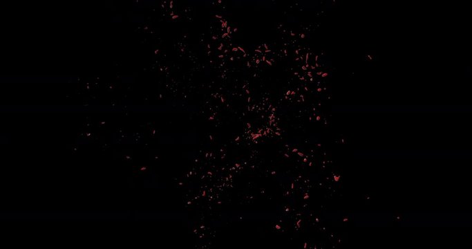 4k Blood Burst Slow Motion (With Alpha) 127