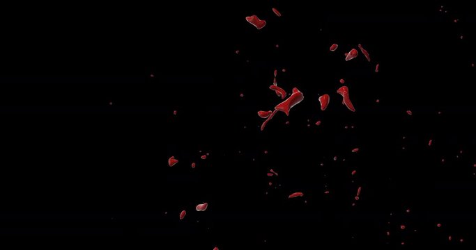 4k Blood Burst Slow Motion (With Alpha) 136