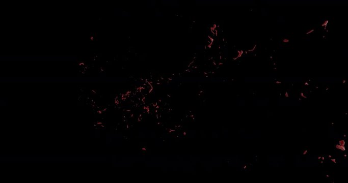 4k Blood Burst Slow Motion (With Alpha) 199