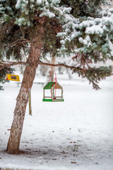 background,  food,  tree,  bird,  winter,  snow,  cold,  park,  frost,  snowy,  white,  nature,  blue,  cover,  beauty,  day,  house,  home,  sky,  postcard,  branch,  landscape,  care,  forest,  save