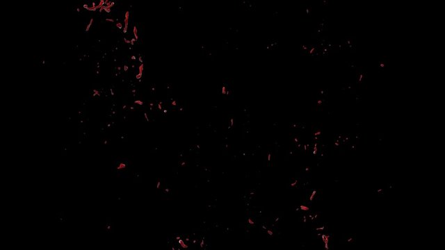 Hd Blood Burst Slow Motion (With Alpha) 115
