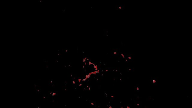 Hd Blood Burst Slow Motion (With Alpha) 124