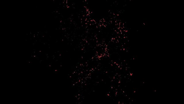 Hd Blood Burst Slow Motion (With Alpha) 127