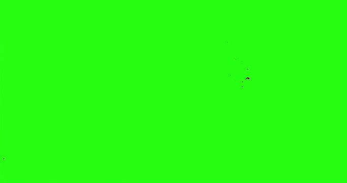 4k Blood Burst Motion Blur (Green Screen) 1