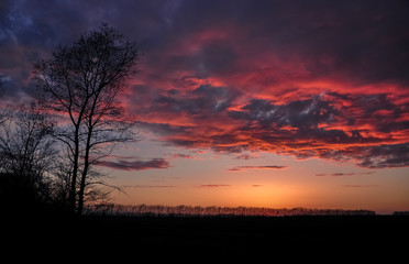 Fototapeta na wymiar Majestic sunset in the field