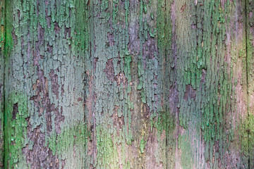 gr&uuml;ne Farbreste