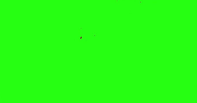 4k Blood Burst Motion Blur (Green Screen) 149