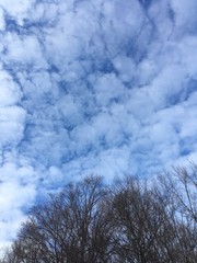 cirrocumulus clouds in winter sky