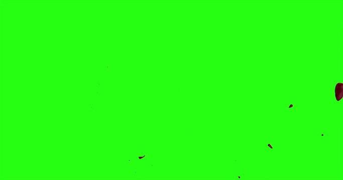 4k Blood Burst Motion Blur (Green Screen) 198