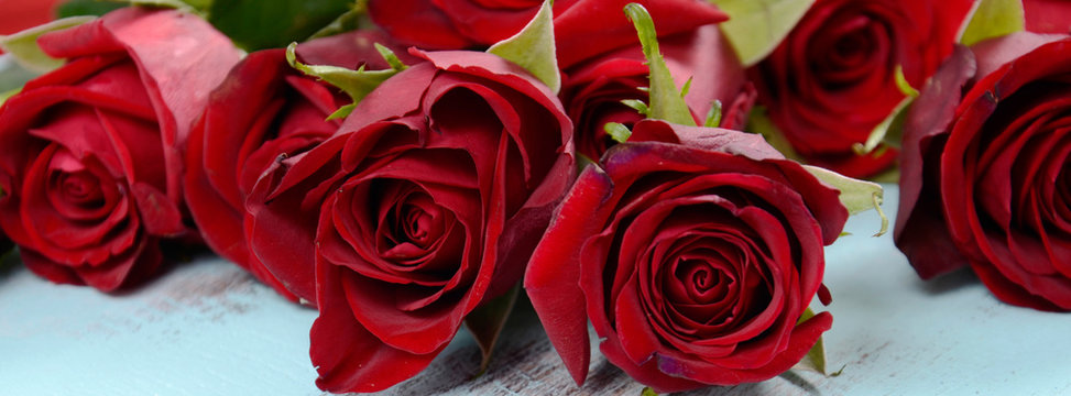 Valentine Roses Social Media Banner