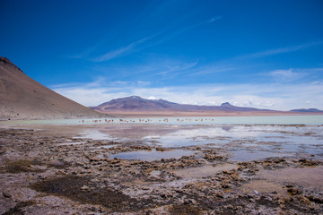 Bolivia Salar de Uyuni altiplano landscape volcano lake and desert remote offroad laguna colorada © Bjoern