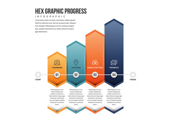 Hexagonal Progress Bars Infographic 1