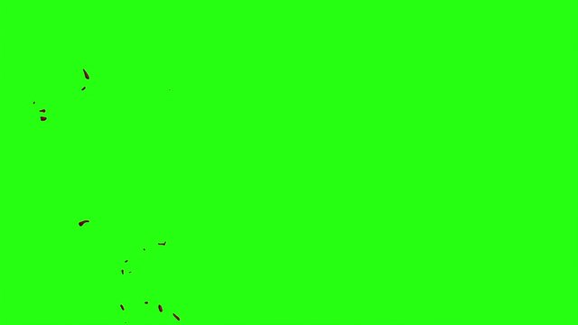 Hd Blood Burst Motion Blur (Green Screen) 182