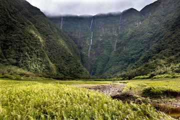 La Reunion Island le grand etang valley with waterfalls mountains and tropical lush green meadow landscape in clouds - 132765971