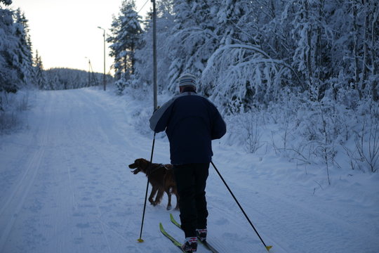 Man Skiing With His Dog