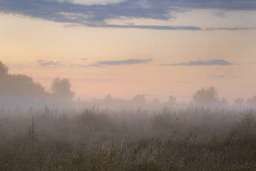 Obraz na płótnie Canvas Nebel Landschaft Norddeutschland Heide