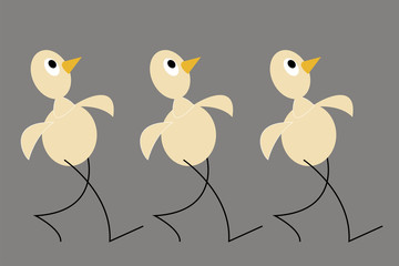 Three yellow chicken. Gray background. Flat design.