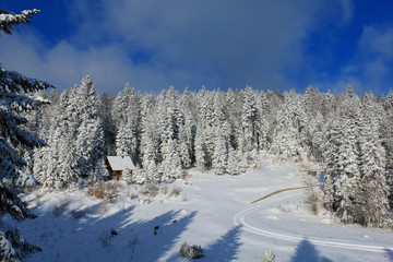 Fototapeta na wymiar Sunny Day After Fresh Snowfall in Mountains