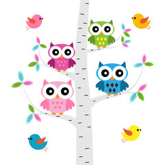 Obraz premium Vector set of a colorful owls at the birch tree
