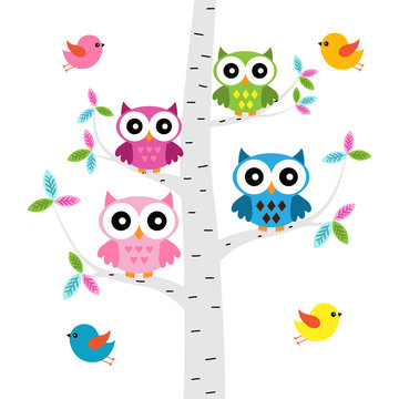 Vector set of a colorful owls at the birch tree