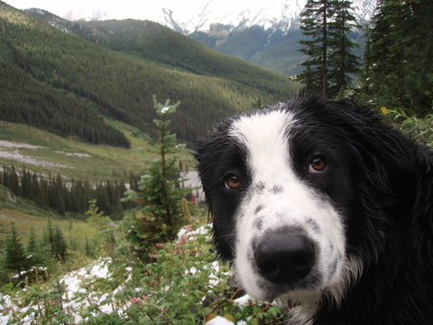 Gus at Black Prince